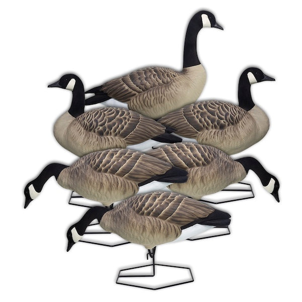 DOA Rogue Series Goose Decoys