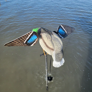 Blue Bird Waterfowl ANIMATOR™ for Lucky Duck Decoys