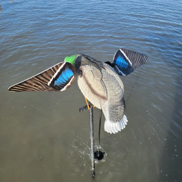 Blue Bird Waterfowl ANIMATOR™ for Lucky Duck Decoys Canadian