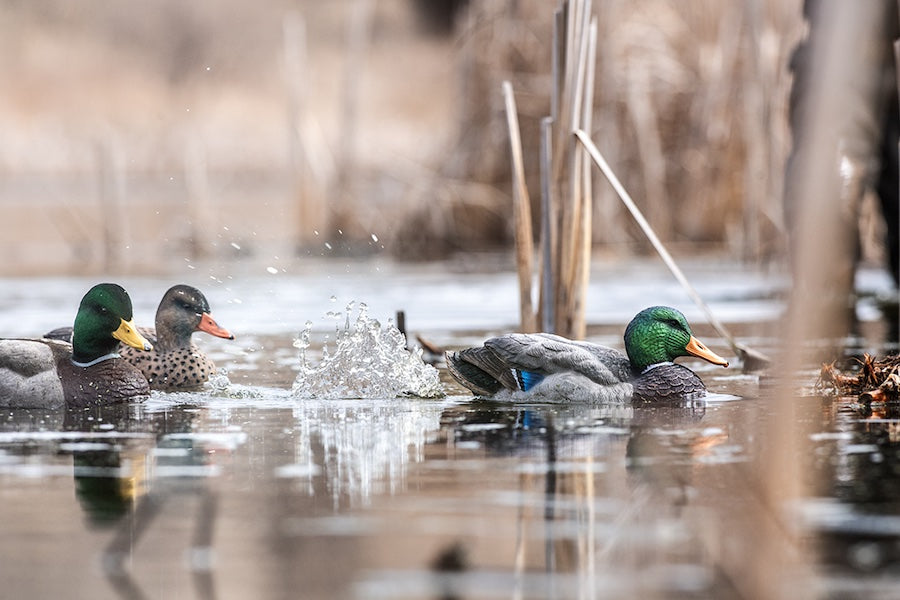 Lucky Duck Super Swimmer 2.0 Max Series Decoy