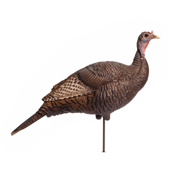Dave Smith Decoys Upright Turkey Hen