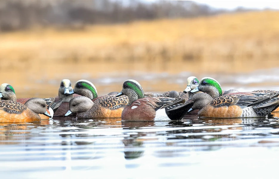 Rig Em Right Mainline Wigeon Decoys