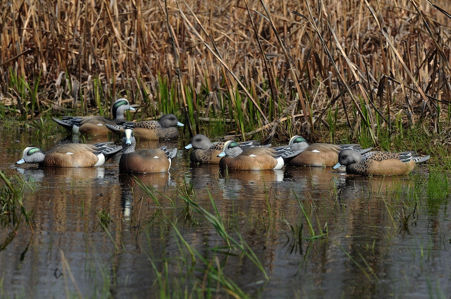 Greenhead Gear Pro Grade Wigeon Decoys