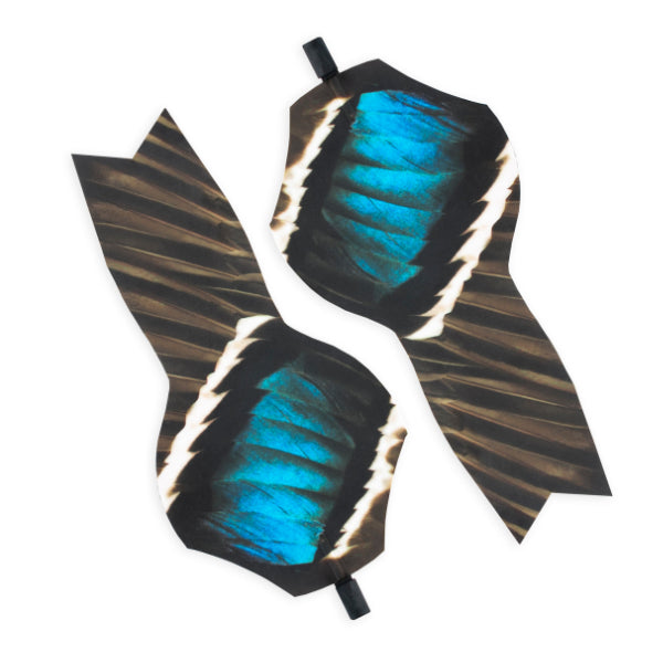 Lucky Duck XHDI Printed Wings