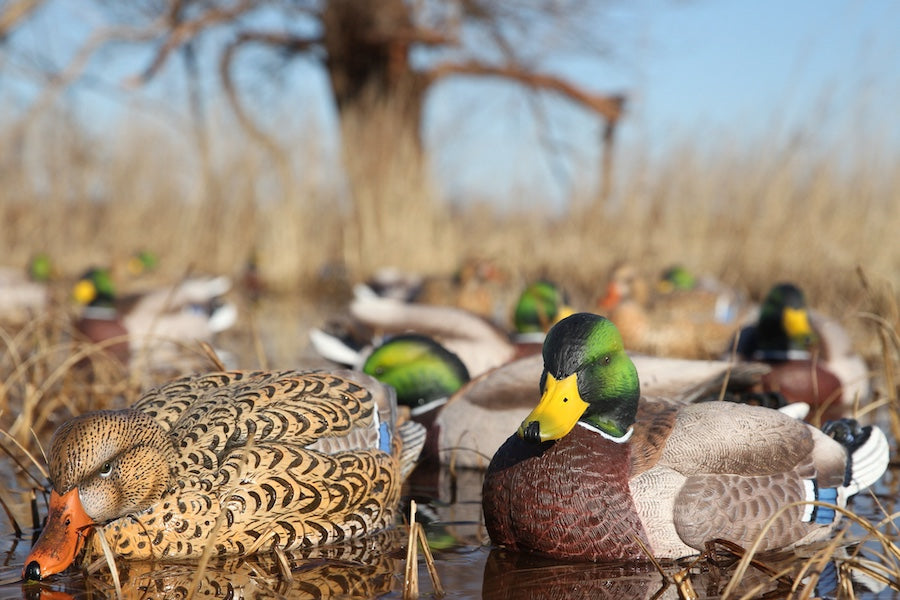 Greenhead Gear Pro-Grade XD Series Mallards - Harvest 6 Pack