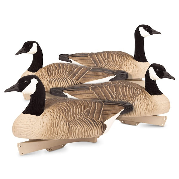 DSD Maximas Floater Goose Decoys 4-Pack