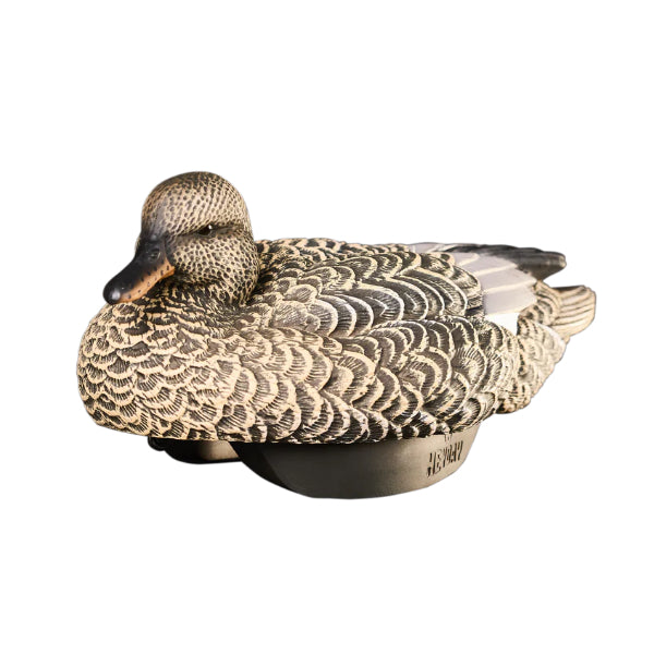 Heyday Lifetime Hydrofoam Gadwalls
