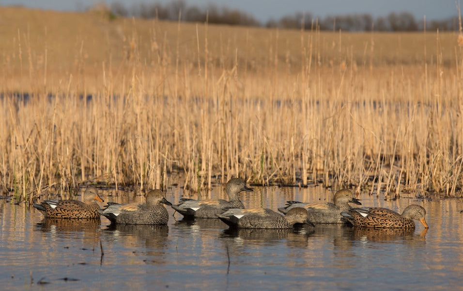 Greenhead Gear Pro Grade Gadwall Decoys