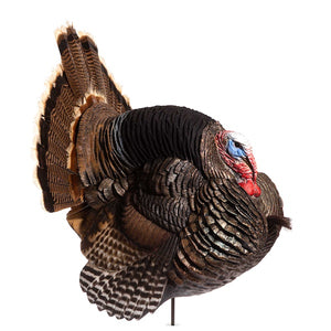 Dave Smith Decoys Strutter Jake