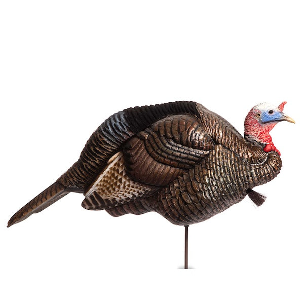 Dave Smith Decoys 3/4 Strut Jake - Canadian Waterfowl Supplies