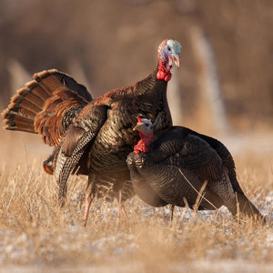 Dave Smith Decoys 3/4 Strut Jake