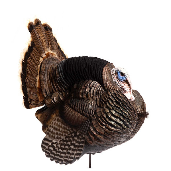 Dave Smith Decoys Strutter Jake White Faced