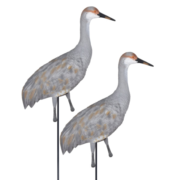 Greenhead Gear Full Body Juvenile Sandhill Crane Decoys