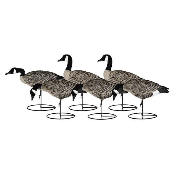 Dakota Xtreme Lesser Goose Decoys