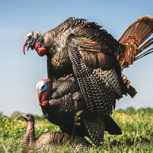 Dave Smith Decoys Mating Motion Pair