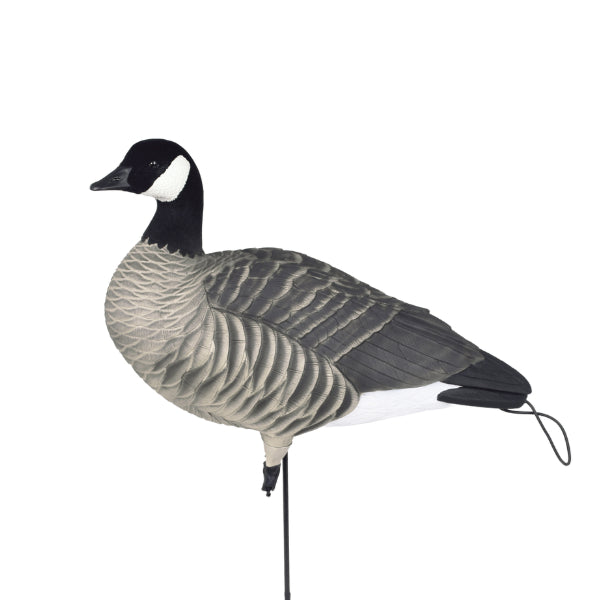 Greenhead Gear Pro Flex Full Body Canada Goose Decoys 12 Pack