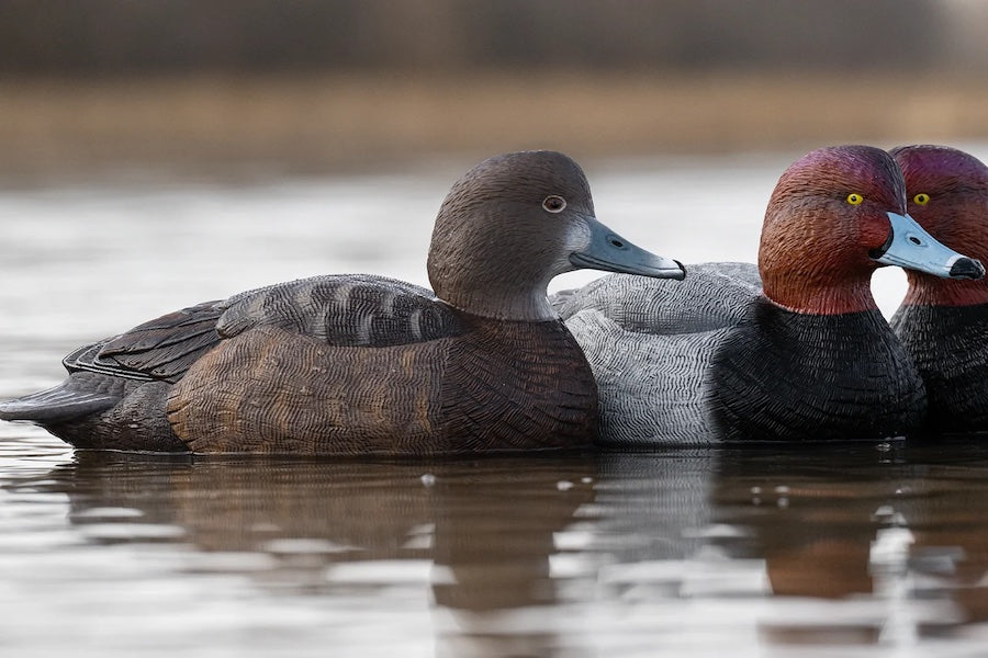 Rig Em Right Mainline Redhead Decoys Foam Filled