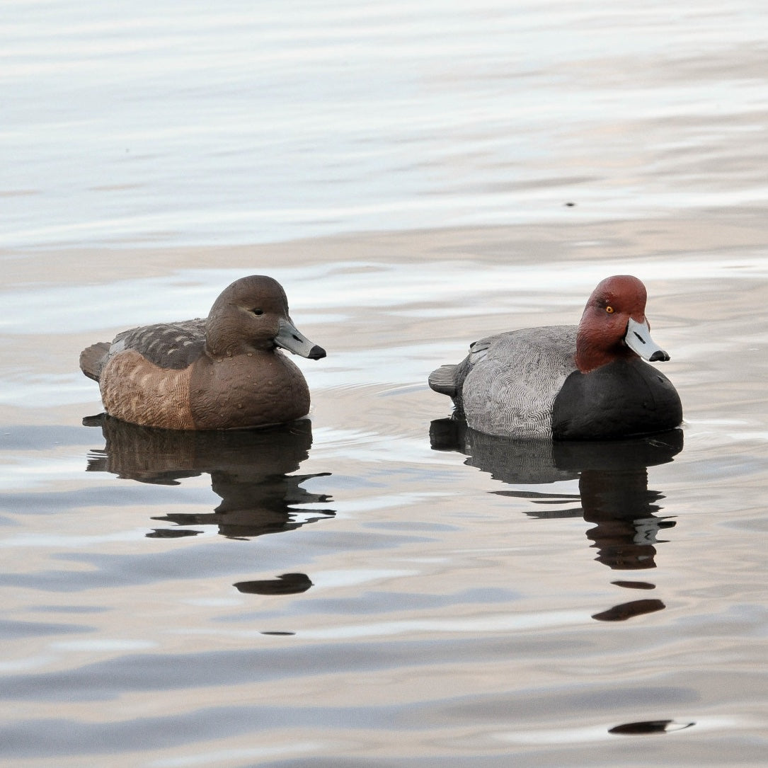 Greenhead Gear Pro Grade Redhead Duck Decoys Foam Filled