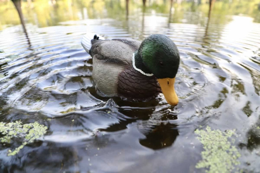 Mojo Rippler 2 Decoy