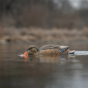 Greenhead Gear Finisher Swimmer Mallard Decoy