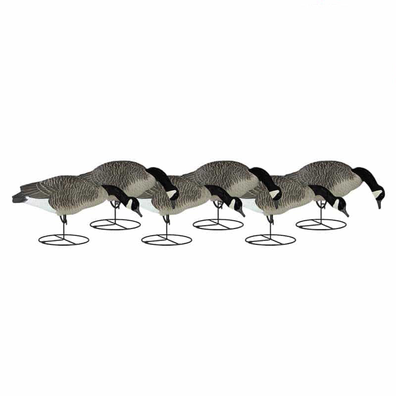 Dakota Decoy Signature Series Fully Flocked Canada Goose Feeder Decoys