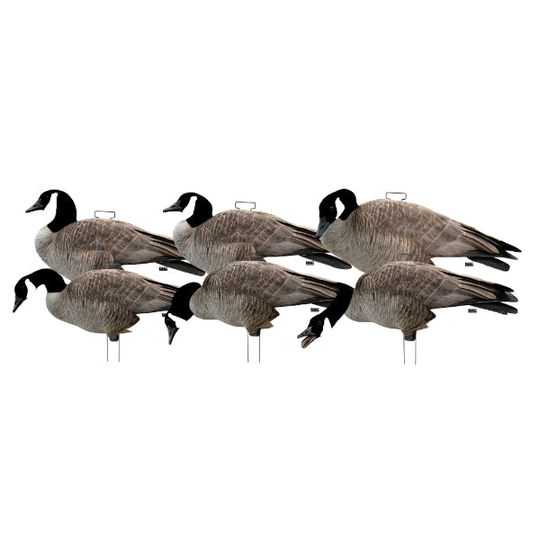 Greenhead Gear Pro Grade Canada Goose Silhouette Decoys