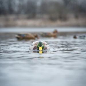 Greenhead Gear Finisher Swimmer Mallard Decoy