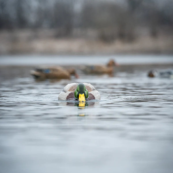 Greenhead Gear Finisher Swimmer Mallard Decoy