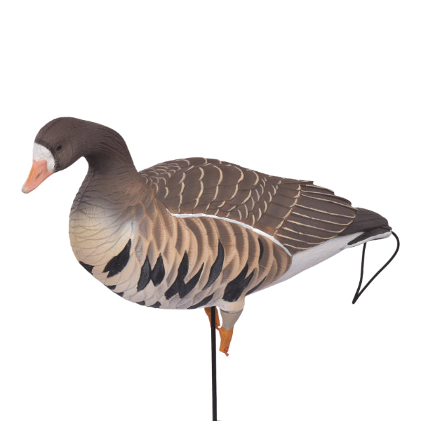 Greenhead Gear Pro Flex Full Body Specklebelly Goose Decoys