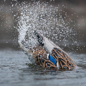 Greenhead Gear Finisher Spitter Mallard Decoy