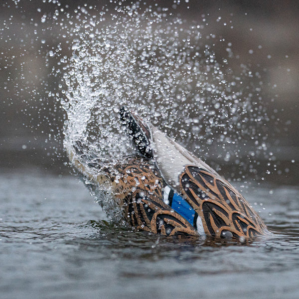 Greenhead Gear Finisher Spitter Mallard Decoy