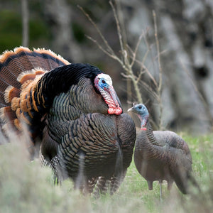 Dave Smith Decoys Upright Turkey Hen