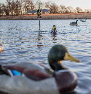 Lucky Duck Super Swimmer HDi