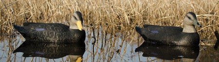 Higdon Battleship Black Duck Decoys Foam Filled