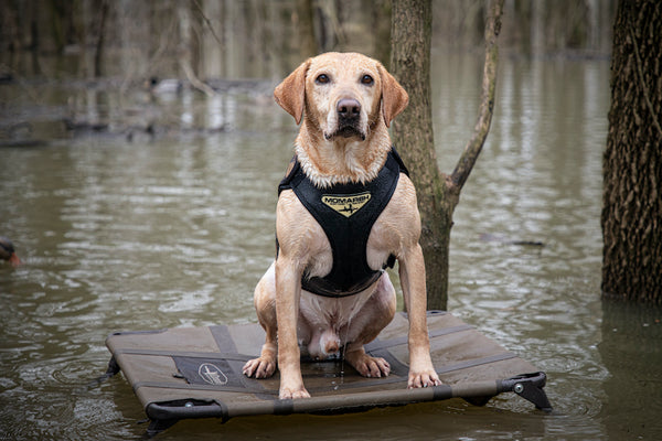 Momarsh Versa Vest Canadian Waterfowl Supplies