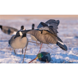 Higdon Outdoors The Clone Canada Goose