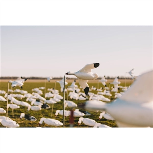 Higdon Outdoors Feather Flyers Snow Goose Decoy