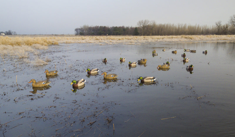 Greenhead Gear Pro-Grade XD Series Mallards - Harvest 6 Pack