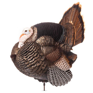 Dave Smith Decoys Strutter Jake White Faced