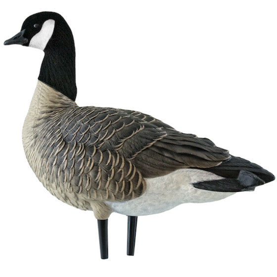 Avian-X Outfitter Lesser Canada Goose Pack