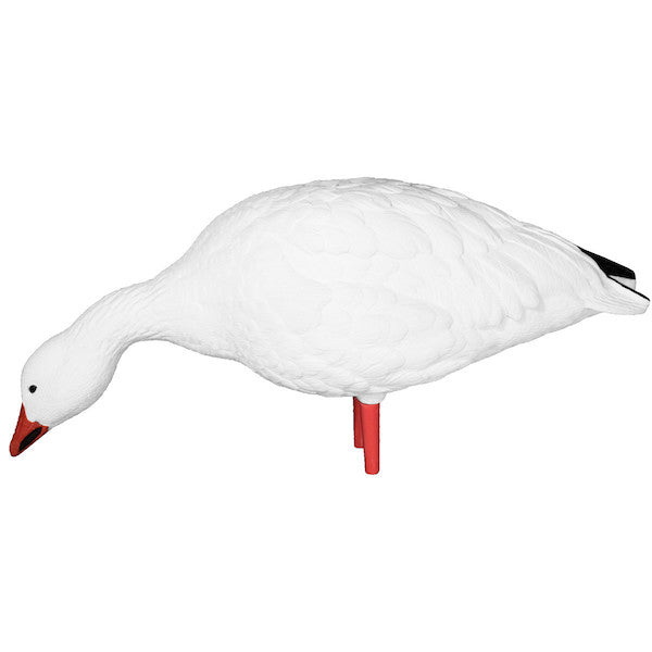 Avian-X Snow Goose Decoys 10 Pack - Canadian Waterfowl Supplies