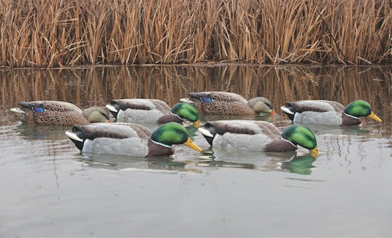 Avian-X Topflight Back Water Mallard Decoys