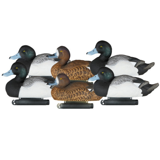 Dakota Xtreme Bluebill Decoys