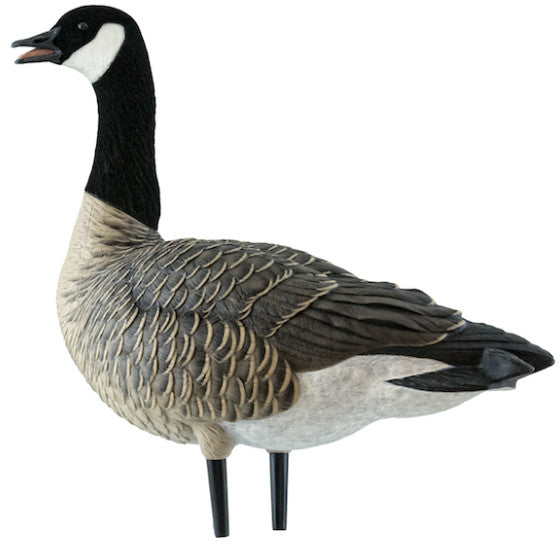 Avian-X Outfitter Lesser Canada Goose Pack