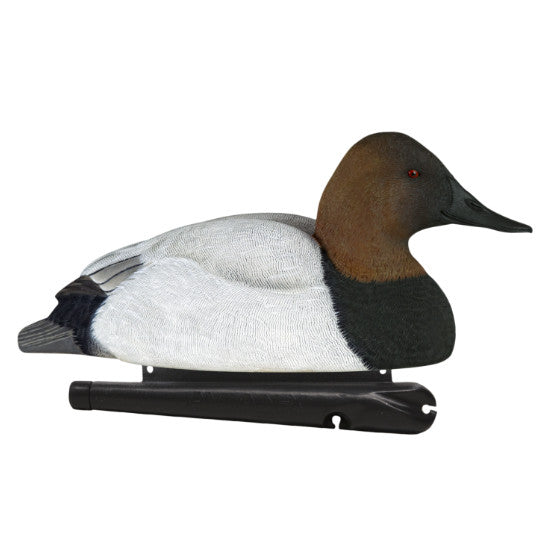 Avian-X Top Flight Canvasback Decoys
