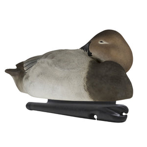 Avian-X Top Flight Canvasback Decoys