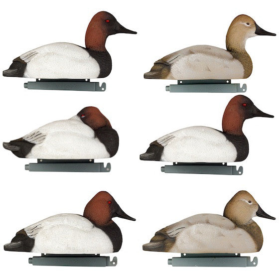 Tanglefree Flight Series Canvasback Duck Decoys