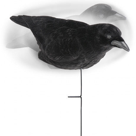 Fully Flocked Crow Decoy