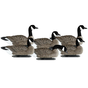 Dakota Xtreme Lesser Canada Goose Floaters
