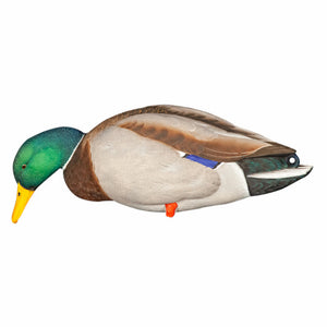 Avian-X Full Body Mallard Duck Decoys